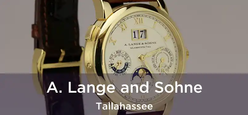 A. Lange and Sohne Tallahassee