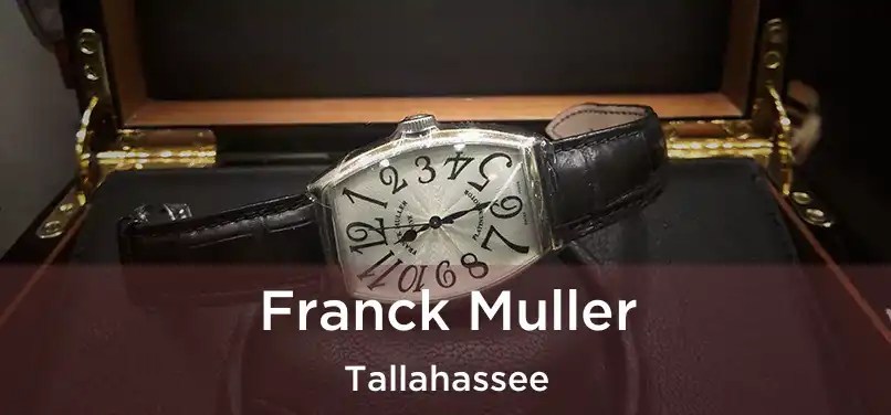 Franck Muller Tallahassee