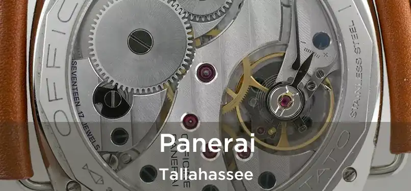 Panerai Tallahassee