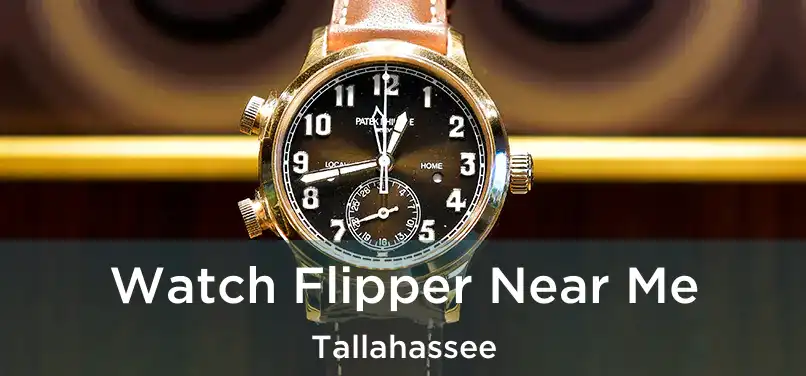 Watch Flipper Near Me Tallahassee