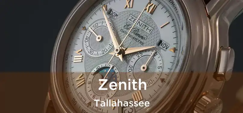 Zenith Tallahassee